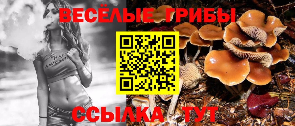 Кокаин  МДМА  Канабис  Вход с VPN  МЕФ кристаллы  Братск  Мефедрон 