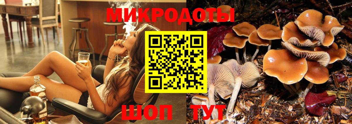 Псилоцибиновые грибы мицелий  Вход с VPN  Псилоцибиновые грибы GOLDEN TEACHER  как найти наркотики  Братск 