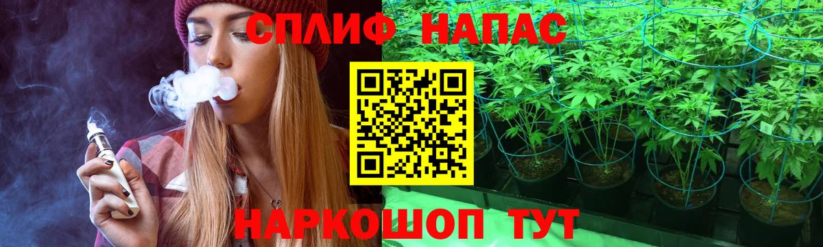 Конопля MAZAR Братск